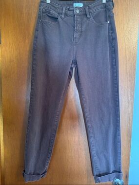 Carve Designs Women's Boyfriend Jeans in Dark Brown